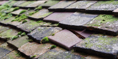 Llansaint roof repair costs